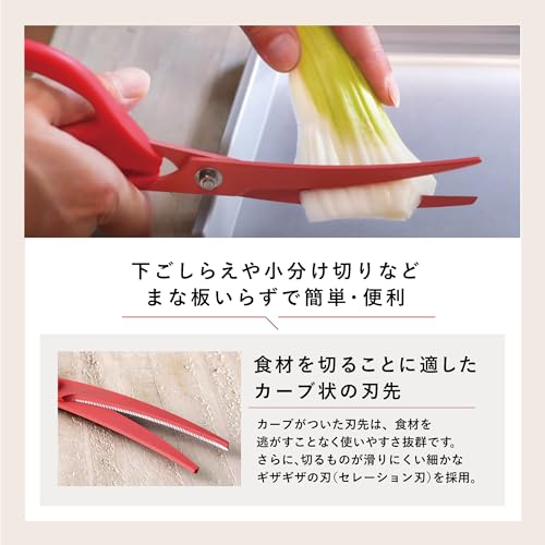 貝印 KAI キッチンはさみ 料理家の逸品 カーブ 日本製 DH2501 中間 画像